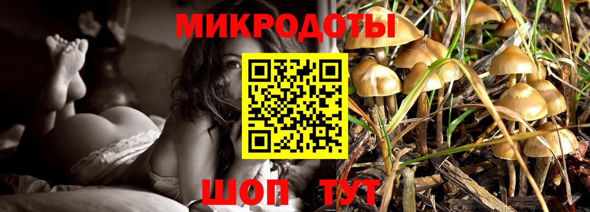 Спасск-Дальний  Псилоцибиновые грибы MAGIC MUSHROOMS  Вход с VPN 